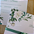 Convite de Casamento Verde Menta - Imagem 4