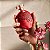 Floratta Red Desodorante Colônia 75ml - Imagem 2