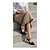 Sapato Scarpin Mule Mary Jane Salto Alto Fino Preto Torricella AVS 12.200A - Imagem 9