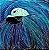 "ARARA AZUL" - Imagem 1