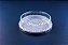 G 50 MB TORTA PQ 1,2KG CX C/50 UND - Imagem 1