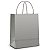 SACOLA PAPEL PRATA M 25X31 C/10 - Imagem 1