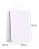 SACOLA PAPEL BRANCA M 25X31 PACOTE COM 10 UNIDADES - Imagem 2