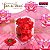 FORMA P/ DOCES FLOR DE LOTUS VERMELHO C/40 UND - Imagem 2
