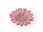 FORMA P/ DOCES GIRASSOL ROSA BEBE (PESSEGO) 40 UN - Imagem 2