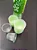 COPO 50ML BIO VERDE PP C/100 - Imagem 1