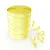 FITILHO 05X50MT CANDY YELLOW - Imagem 1