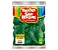 BALAO LISO 9 REDONDO VERDE FOLHA PCT C/50 UNIDADES - Imagem 2