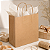SACOLA PAPEL KRAFT NATURAL 23,5X10X39 COM 10 UND - Imagem 4