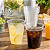 COPO 250ML ECOCOPPO PP TRANSP C/100 UNIDADES - Imagem 3