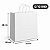 SACOLA PAPEL KRAFT BRANCA 32X20X34 COM 10 UNIDADES - Imagem 2