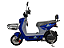 AUTOPROPELIDO MOD: NITRO POTENCIA: 1.000WATTS BATERIA: LITIO 60V 20AH COR: VERM - Imagem 3
