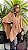 Poncho Tricot Bariloche - Imagem 1