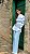 Calça Tricot Layla - Imagem 1