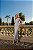 Vestido Tricot Julieta - Imagem 3
