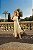 Vestido Tricot Dinamarca - Imagem 1