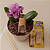 Difusor de Aromas Ambientes Orquídea Coala 100ml - Imagem 2
