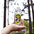 Desinfetante Concentrado 3em1 Eucalipto Citriodora Coala 120ml - Imagem 2