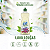 Lava Louças Vegano com Aloe Vera Detergente Gel Hipoalergenico Aroma Maçã 500ml 3 Unidades - Imagem 3