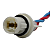 Chicote Plug Luz Da Placa Up 2 Vias - Imagem 1