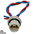 Chicote Plug Luz Da Placa Up 2 Vias - Imagem 1