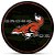 Capa Estepe Crossfox Ecosport Aircross Doblo Spin Raposa Vermelha Aro 13 a 16 - Imagem 6