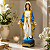 Nossa Senhora das Graças 20cm para Altar Presente Religioso - Imagem 4