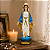 Nossa Senhora das Graças 20cm para Altar Presente Religioso - Imagem 5