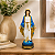Nossa Senhora das Graças 20cm para Altar Presente Religioso - Imagem 6