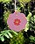 Tag flor de 6cm - Imagem 2