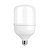 Lâmpada Alta Potência LED 20W Bivolt 6.500K E27 Intral - 06653 - Imagem 1