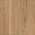 Cejatel Amazonia Caramel 50x50 (a66) - Imagem 3