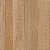 Cejatel Amazonia Caramel 50x50 (a66) - Imagem 4
