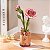 Rowood TW051 Pink Carnation Madeira Quebra-Cabeça 3D - Imagem 4