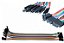 Kit Jumper Macho Femea 20Cm - 20 Peças - Imagem 2