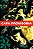 Mulher-Maravilha - Vol. 13 - Imagem 1