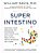 Superintestino - Imagem 2