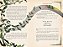 Harry Potter e a Pedra Filosofal - Ilustrado por Minalima - Imagem 5