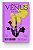 Senhor Vênus - Imagem 1