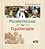 A Psicomotricidade na Equoterapia - Imagem 1