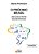 O Próximo Brasil - Um Olhar A Partir Das Estatísticas - Imagem 1