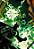 Batman/Spawn: A Coleção Clássica - Imagem 1