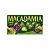 Chocolate Meiji Macadamia Matcha Importado Japão 64g - Imagem 1
