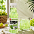 Bebida de Uva com Mel e Nata de Coco 450ml - Imagem 3