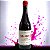 Vinho Clarete Sangiovese - Colheita de Outono - 2023 Don Affonso e Sozo - Imagem 2
