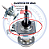 Mecanismo Transmissão Electrolux LAC11 LT10B LTD11 - A02437701 - Imagem 3