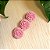 Hairclip Rosas - Imagem 1