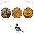 Kit Coleiro - Ração Extra Gold + Mix de Sementes + R.A Silvestre Insetos - Reino das Aves - Imagem 2