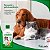 Shampoo e Condicionador Clorexidina Kelldrin 5 em 1 para Cães e Gatos 500g - Imagem 3