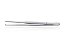 PINCA DENTE RATO STANDARD 18CM VITAL - Imagem 1